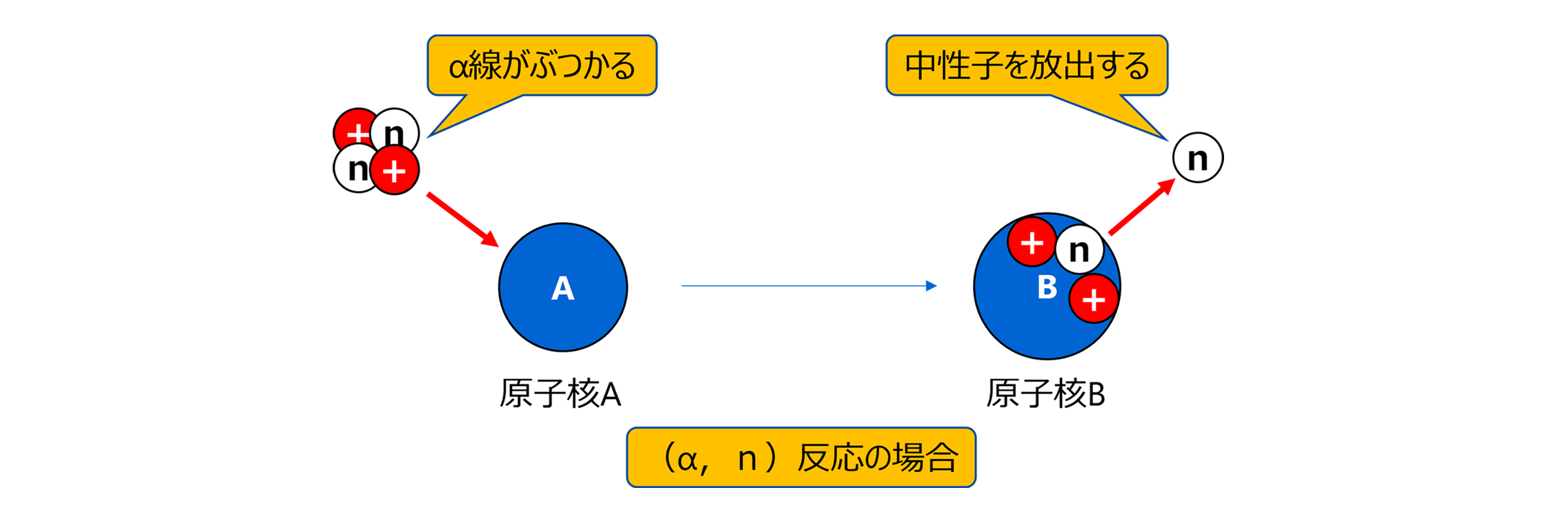 （α，ｎ）反応による中性子放出図