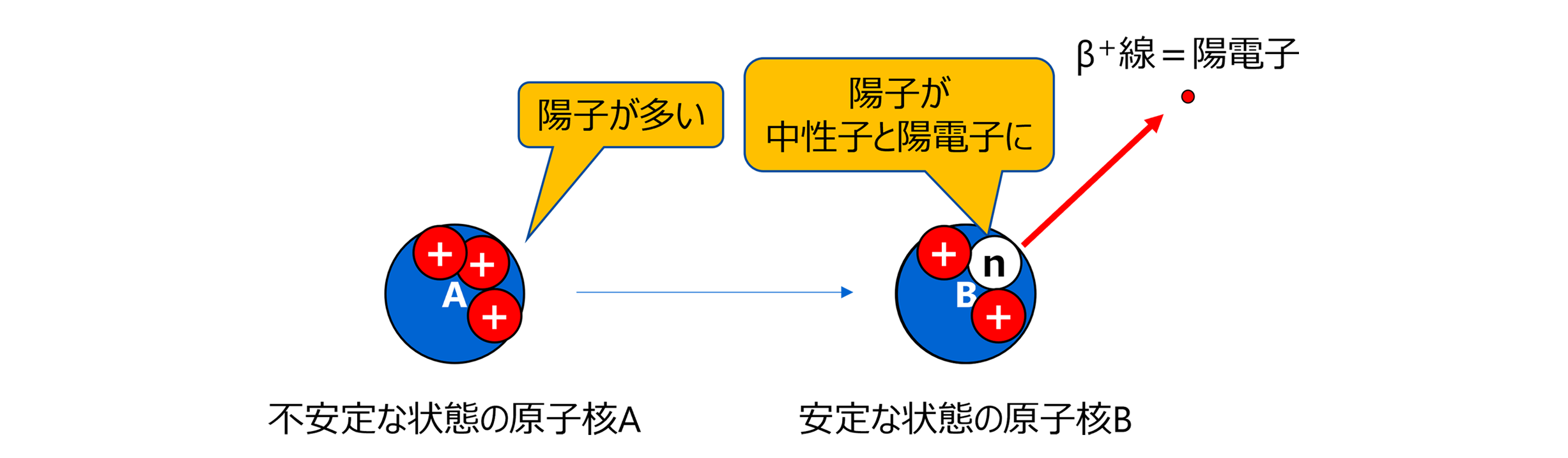 β+線の放出図