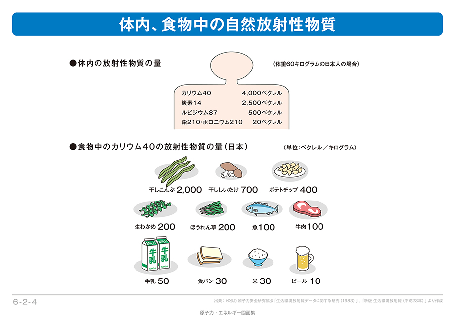 体内、食物中の自然放射性物質