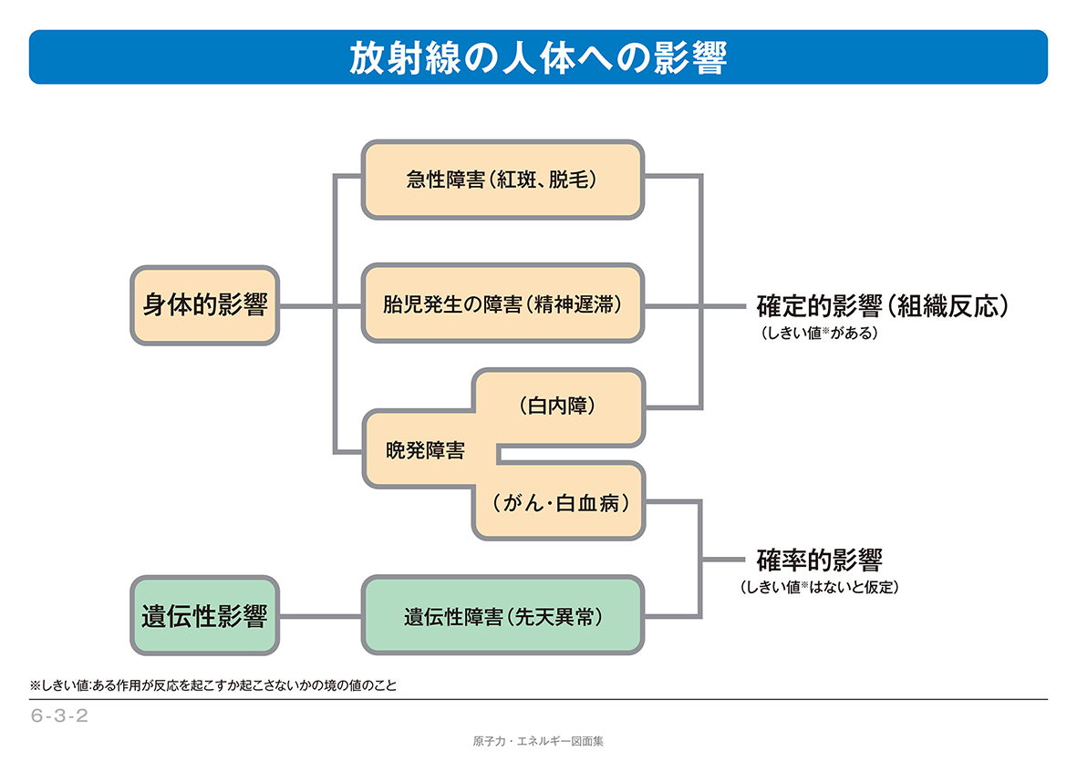 放射線の人体への影響