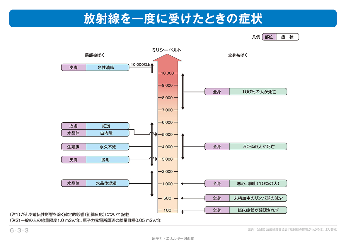 放射線を一度に受けたときの症状