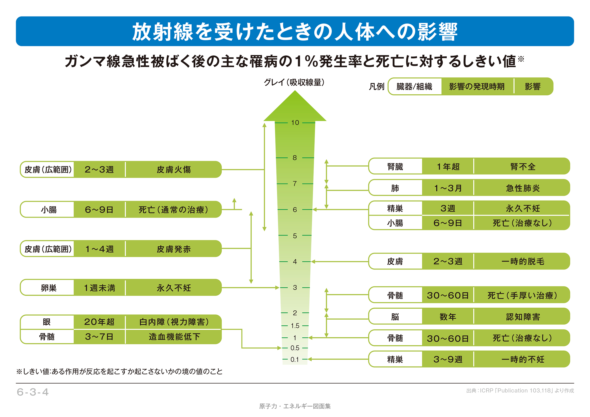 放射線を受けたときの人体への影響