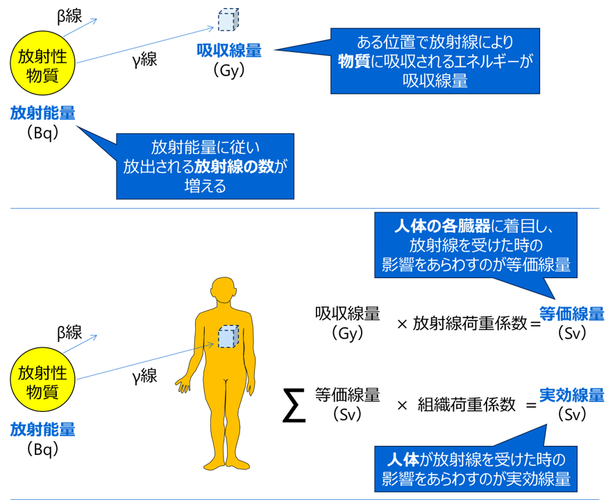 ベクレル・グレイ・シーベルトの関係