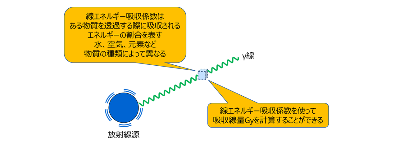 線エネルギー吸収係数